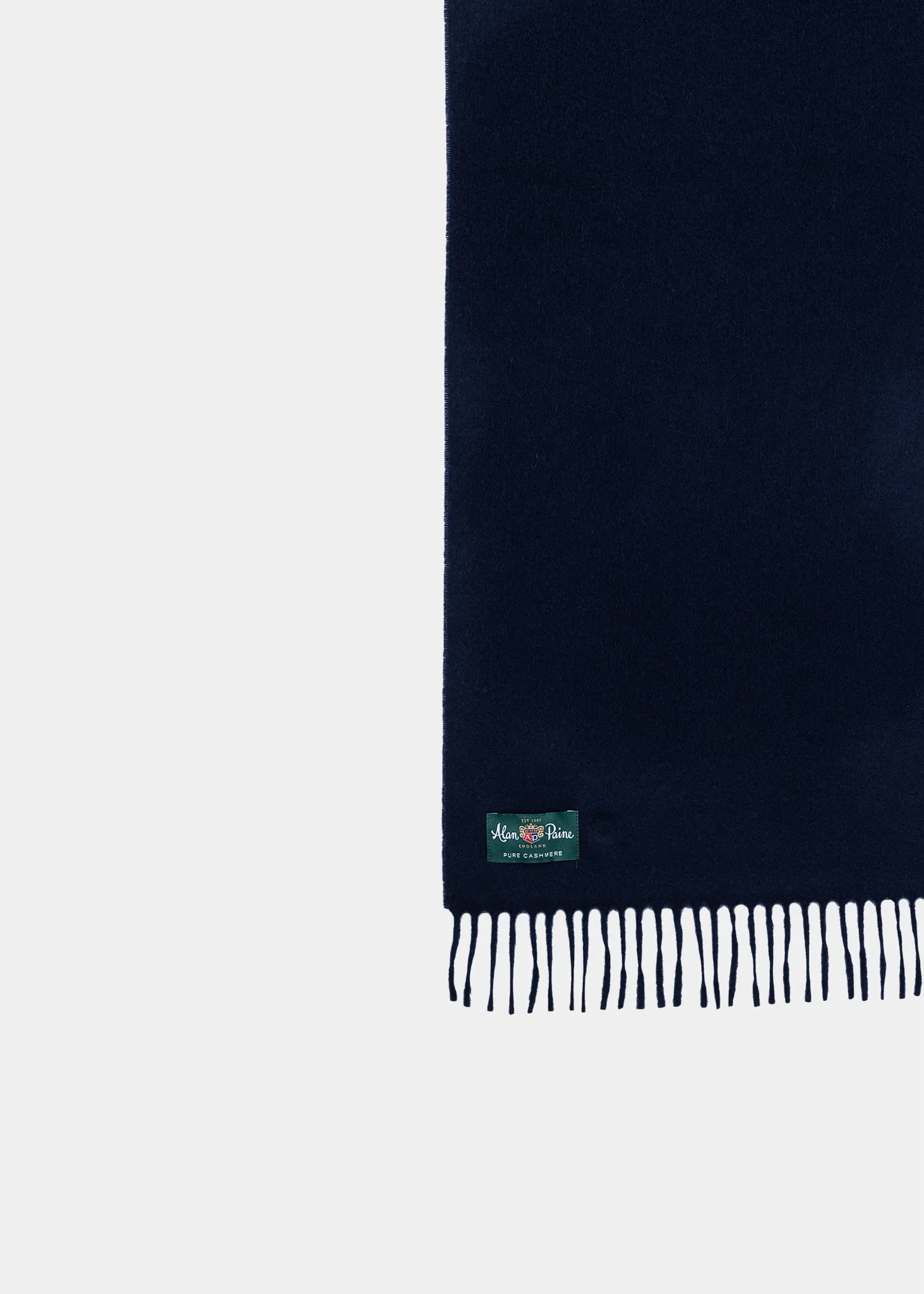 Risbury Men's Cashmere Plain Scarf In Navy