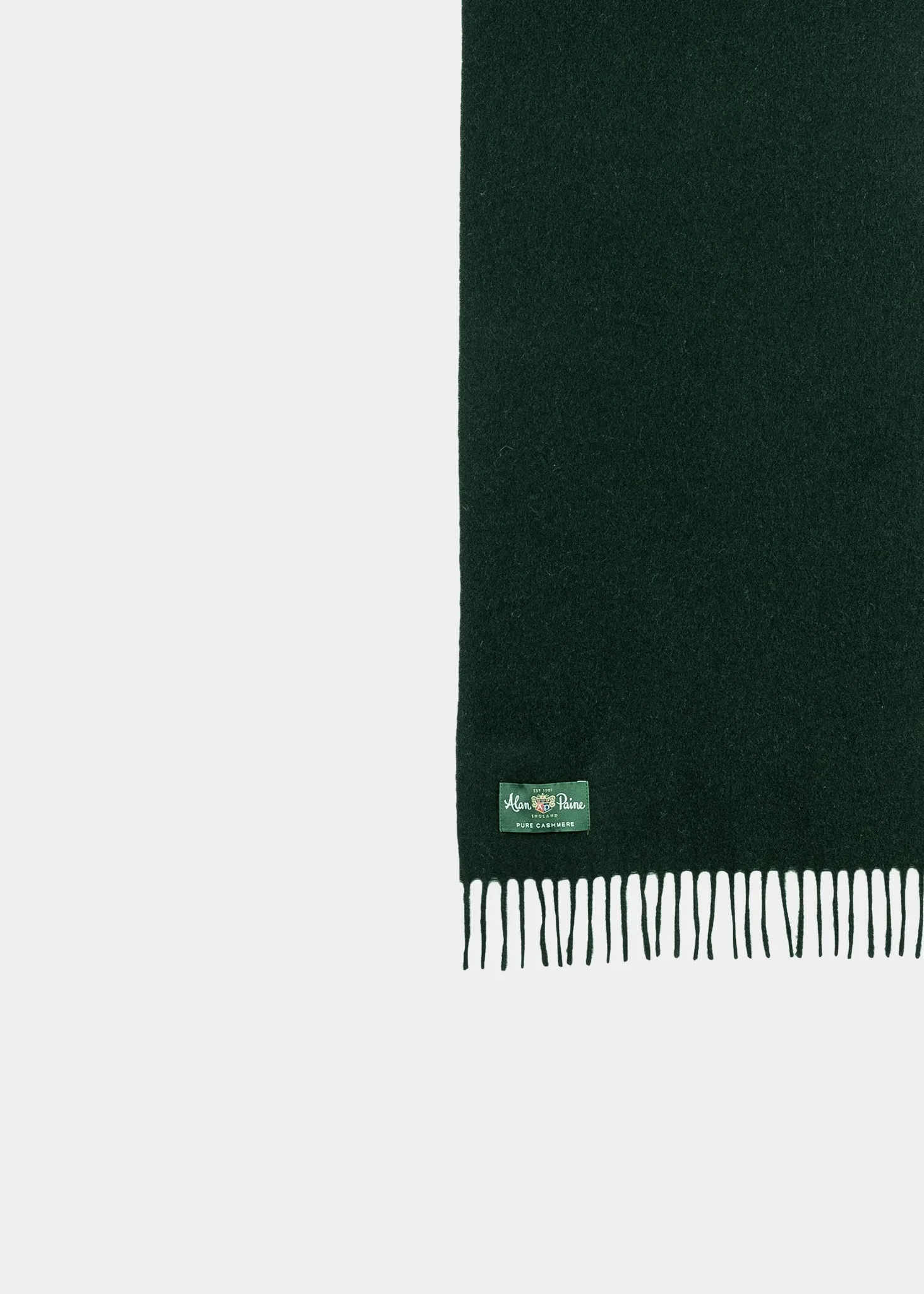 Risbury Men's Cashmere Plain Scarf In Racing Green