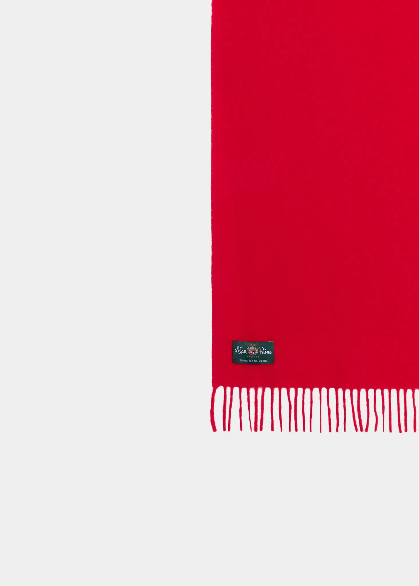 Risbury Men's Cashmere Plain Scarf In Ruby